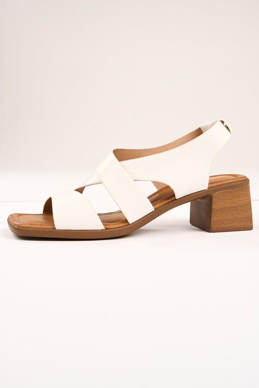 VG 8 - Mira imported